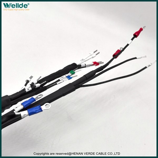 Customized Wiring Harness best